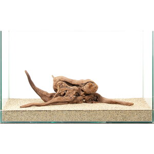 _@㎿؁@@60cmp@880268@֓