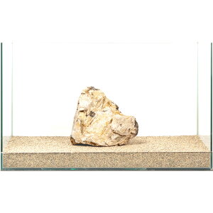 _@؉΁@e΁@60cmp@880272@֓