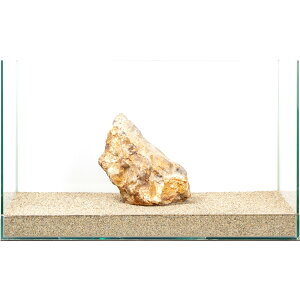 _@؉΁@e΁@60cmp@880273@֓