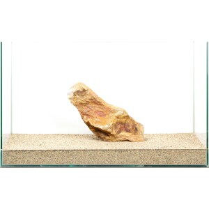 _@؉΁@e΁@60cmp@880282@֓