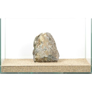 _@R΁@e΁@60cmp@880285@֓