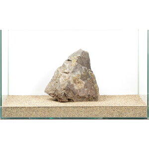 _@R΁@e΁@60cmp@880294@֓