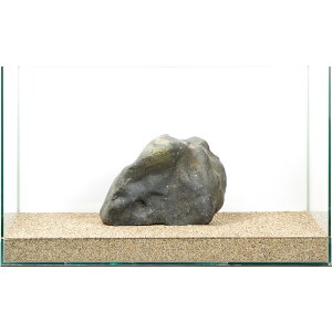 ��_���@�ɊC�΁@�e�΁@60cm�����p�@880310�@�֓�������