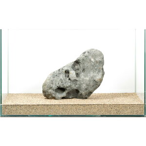 ��_���@�ɊC�΁@�e�΁@60cm�����p�@880312�@�֓�������