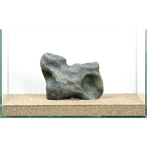 ��_���@�ɊC�΁@�e�΁@60cm�����p�@880314�@�֓�������