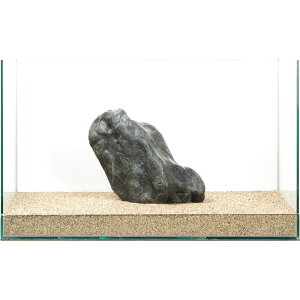 _@ɊC΁@e΁@60cmp@880316@֓