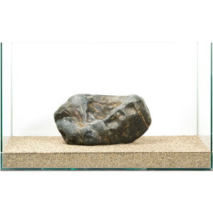 ��_���@�ɊC�΁@�e�΁@60cm�����p�@880318�@�֓�������