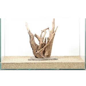 _@PΕtz[X^vEbh@60cmp@880320@֓