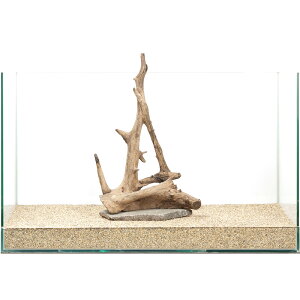 _@PΕtz[X^vEbh@60cmp@880324@֓