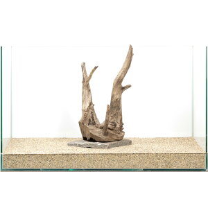 _@PΕtz[X^vEbh@60cmp@880325@֓