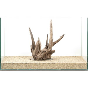 _@PΕtz[X^vEbh@60cmp@880326@֓