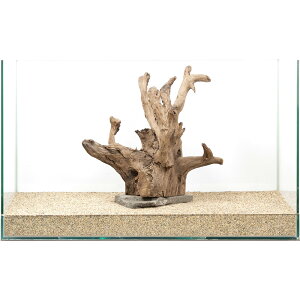 _@PΕtz[X^vEbh@60cmp@880329@֓