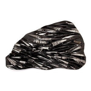 _@bRY@p΁@I\ZX̌Q΁@56×36cm@\ʖ@880331@֓