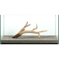 楽天市場】流木 90cm（水槽・アクアリウム内装｜熱帯魚・アクアリウム 