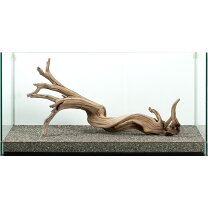 楽天市場】水槽 90cm（流木｜流木・砂利・レイアウト用品）：水槽 