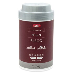 コメット　プレコの主食　沈下性タブレット　100g【HLS_DU】　関東当日便