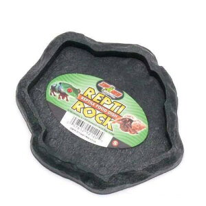 ZOOMED@veBbN@v^Ct[hfBbV@STCY@঒ށ@a@GT@F܂@֓