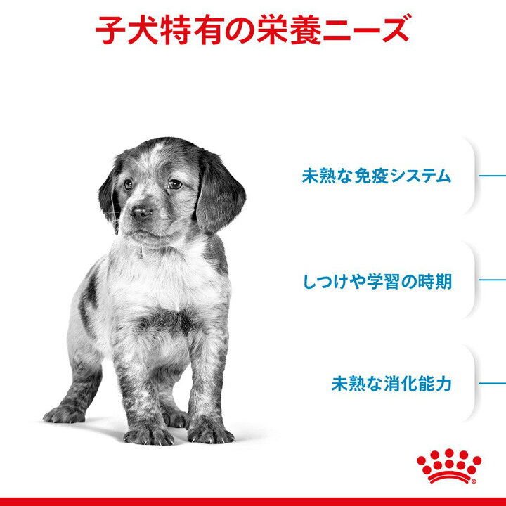楽天市場】ロイヤルカナン ミディアム パピー 子犬用 4kg 