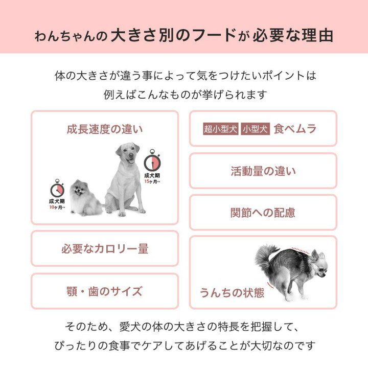 楽天市場】ロイヤルカナン ミディアム アダルト 7＋ 中高齢犬用 