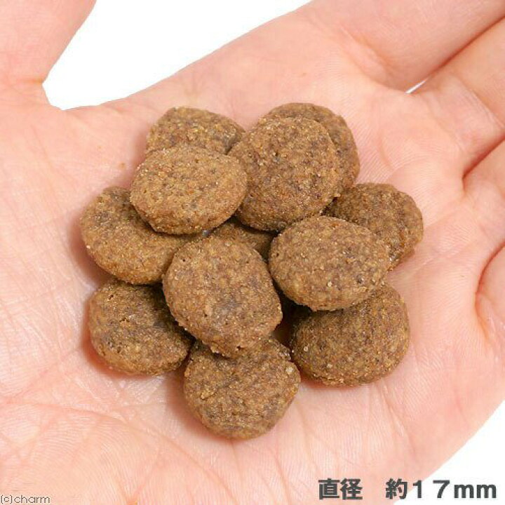 楽天市場】ロイヤルカナン ミディアム アダルト 7＋ 中高齢犬用 