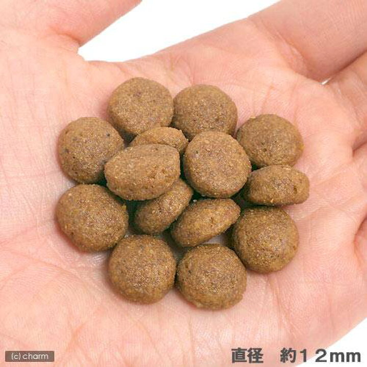 楽天市場】ロイヤルカナン マキシ パピー 子犬用 15kg 