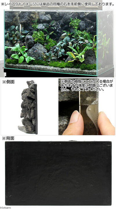 楽天市場】一点物 ウォールロック ボルケーノ 60cm水槽用 893428 沖縄別途送料 関東当日便 : charm 楽天市場店 楽天市場】一点物 ウォールロック ボルケーノ 60cm水槽用 893428 沖縄別途送料 関東当日便 : charm 楽天市場店