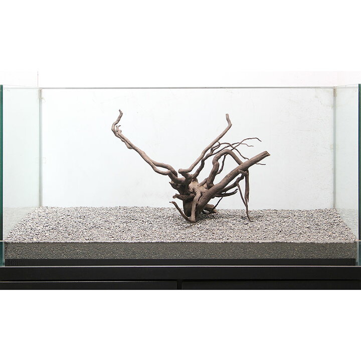 楽天市場 一点物 ルーツウッド 単体 大型水槽用 ８９４２８４ 沖縄別途送料 関東当日便 Charm 楽天市場店