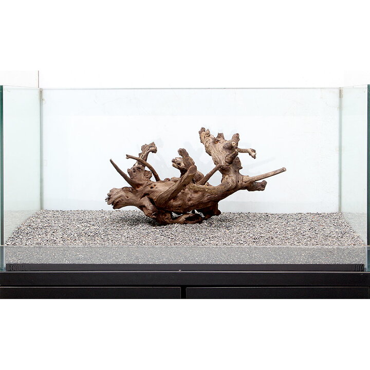 楽天市場 一点物 サンゴウッド 大型水槽用 ８９５３８３ 沖縄別途送料 関東当日便 Charm 楽天市場店