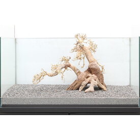 楽天市場 盆栽 流木 流木 砂利 レイアウト用品 水槽 アクアリウム内装 熱帯魚 アクアリウム ペット ペットグッズの通販