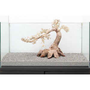 大型 水槽 流木の人気商品 通販 価格比較 価格 Com