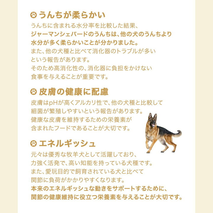 楽天市場】ロイヤルカナン ジャーマンシェパード 成犬・高齢犬用 