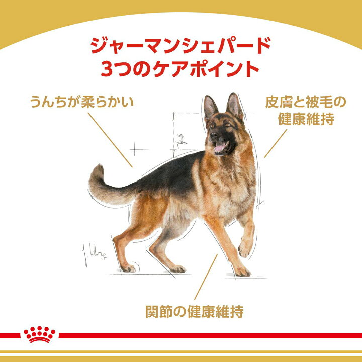楽天市場 ロイヤルカナン ジャーマンシェパード 成犬 高齢犬用 １１ｋｇ 沖縄別途送料 ジップ無し お一人様２点限り 関東当日便 Charm 楽天市場店