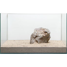 楽天市場 レイアウト 60cm水槽 石の通販