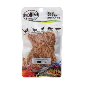 アウトレット品 プロバグズ 真空パック生昆虫 ミルワーム 20g 常温保存可 生餌 生き餌 餌 フード 訳あり 関東当日便