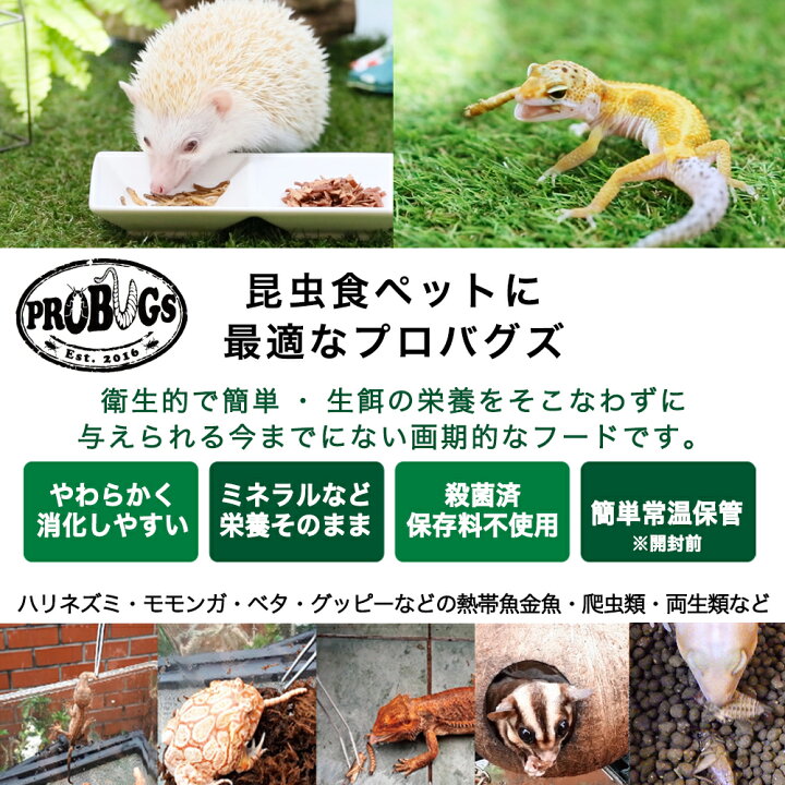 気質アップ】 乾燥ミルワーム200g 高淡白 小動物 爬虫類 両生類 ハムスター ハリネズミ 乾燥ミルワーム100g 高淡白 小動物 爬虫類 両生類 ハムスター ハリネズミ