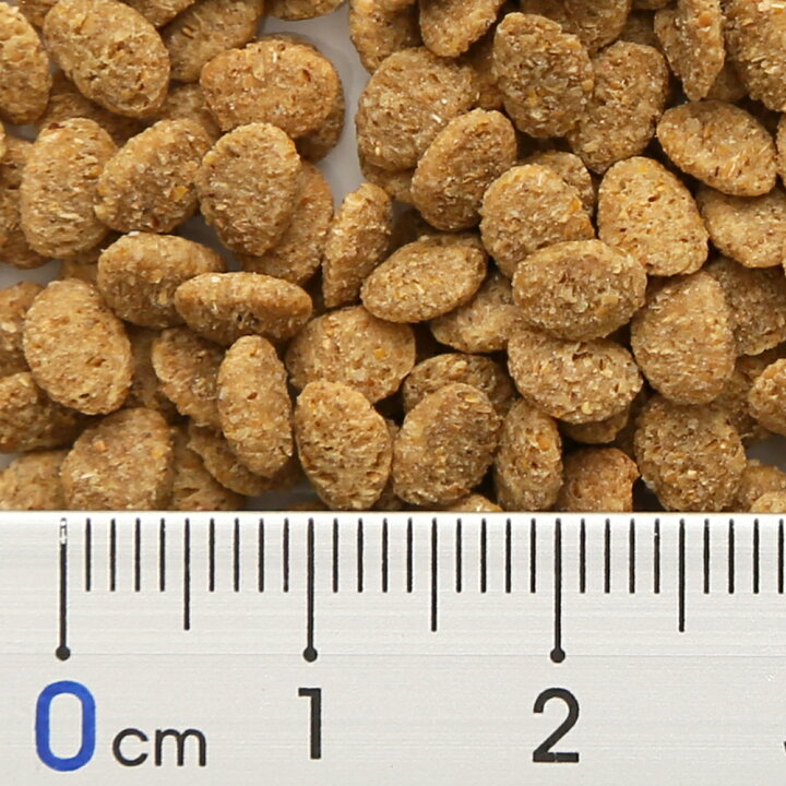 まとめ インコセレクション バイタルペレット300g ペット用品