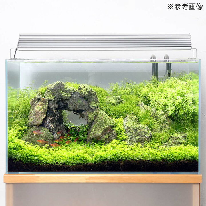 楽天市場】魚が簡単に飼える リーフプロソイル 水草用 ノーマル 3L お一人様9点限り 関東当日便 : charm 楽天市場店 楽天市場】魚が簡単に飼える リーフプロソイル 水草用 ノーマル 3L お一人様9点限り 関東当日便 : charm 楽天市場店