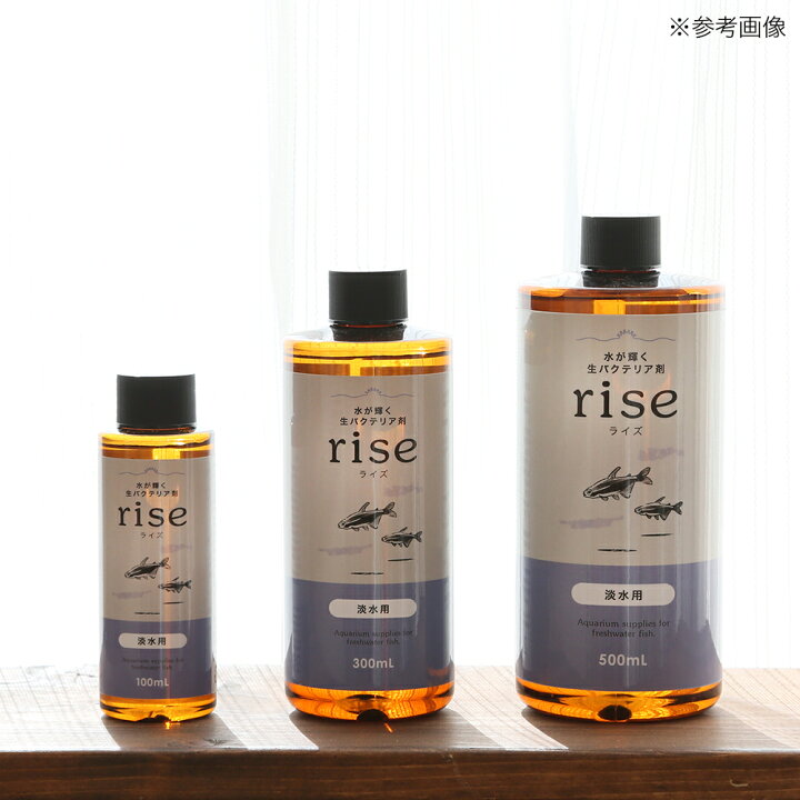 楽天市場 水が輝く生バクテリア剤 ｒｉｓｅ ライズ 淡水用 ５００ｍｌ バクテリア 熱帯魚 関東当日便 Charm 楽天市場店