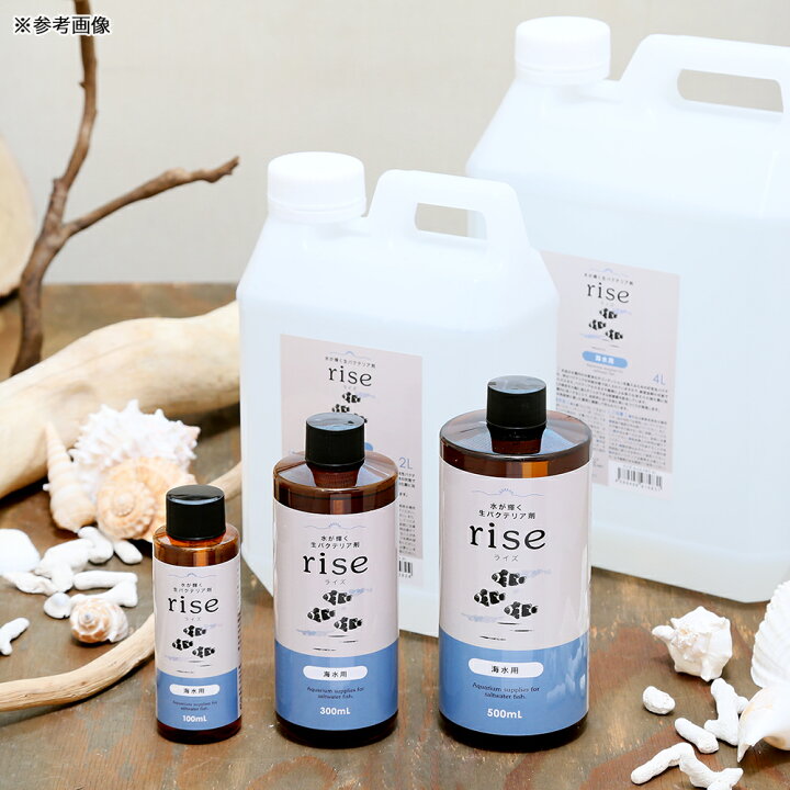 楽天市場 水が輝く生バクテリア剤 ｒｉｓｅ ライズ 海水用 ３００ｍｌ 好気性バクテリア 海水魚 関東当日便 Charm 楽天市場店