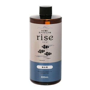 PoNeA܁@rise@CY@Cp@500mL@DCoNeA@C@֓