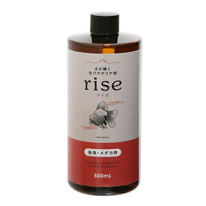 PoNeA܁@rise@CY@@_Jp@500mL@DCoNeA@֓