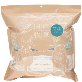 令和7年産　国産牧草　やみつきイタリアンライグラス　100g　牧草　うさぎ　モルモット　小動物　おやつ　USAYAMA　関東当日便