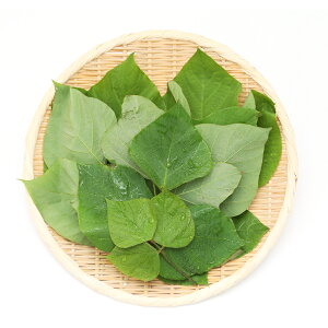 iϗtAjY@ƂꂽĐtρ@̗t@30g@@K@USAYAMA