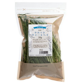 令和8年産　国産牧草　やみつきウィートヘイ（小麦若葉）　20g　お試しサイズ　牧草　うさぎ　モルモット　小動物　おやつ　USAYAMA　関東当日便