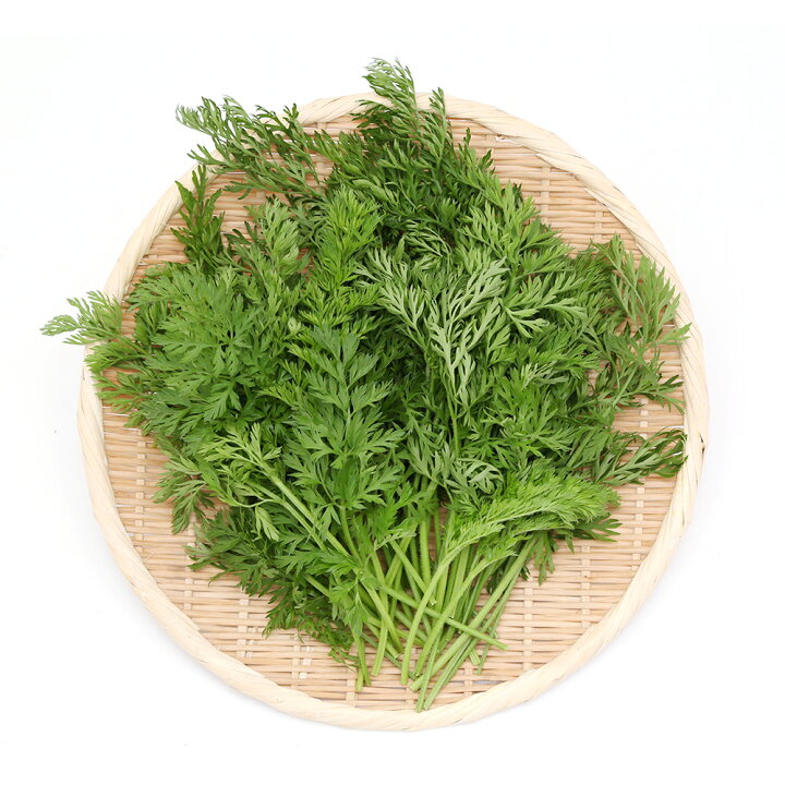 楽天市場】（観葉植物）国産 とれたて生葉っぱ にんじんの葉 100g 