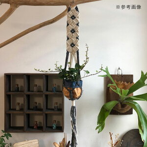 }NvcnK[@~j^yXg[@THREEt[@3p@O[×zCg@85cm@֓