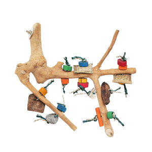 ^CRIEp@^R̖؂̂t}`p[`@MTCY@o[hgC@֓