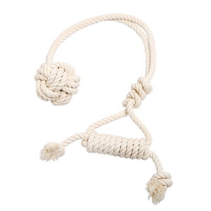 Rbg{[@@L@@p@^@pi@֓