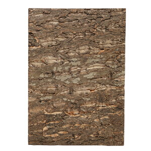 eEp@RNobNpl@W60×H45cmp