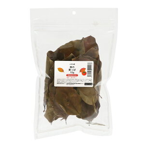 `̗tρ@10g@_Jp@BƁ@z~@Y@֓